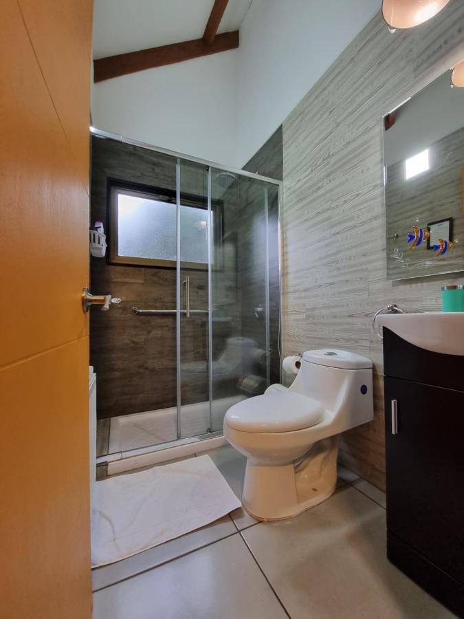 Hostel Torobayo Valdivia Exteriör bild